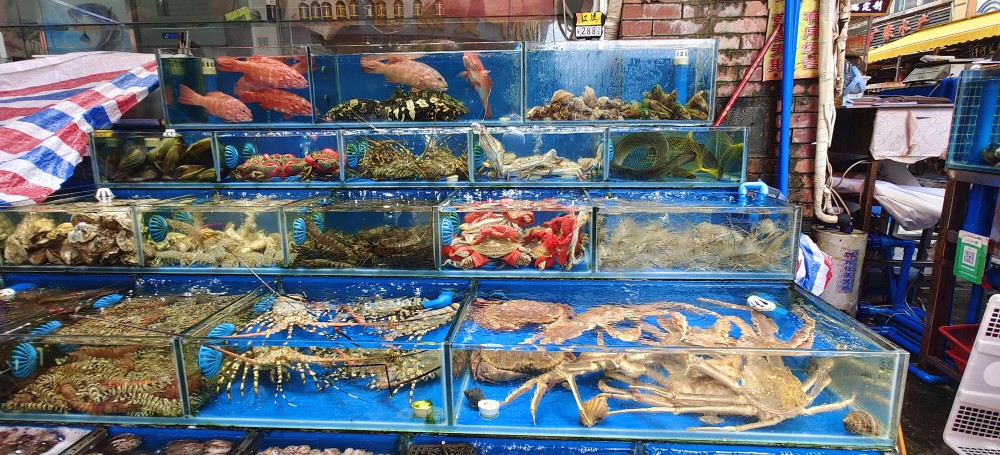 平靚正海鮮大量上市,專(zhuān)家解答:哪些水產(chǎn)品不宜吃?