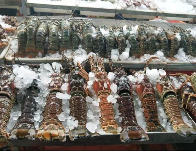 我國(guó)最適合&ldquo;養(yǎng)老&rdquo;城市,365天鳥(niǎo)語(yǔ)花香,海鮮簡(jiǎn)直不要錢(qián)!