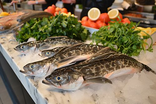 生鮮海鮮水產(chǎn)深海鱈魚 攝影圖