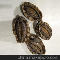 【青島直銷 海鮮 鮑魚 海鮮批發(fā) 鮑魚批發(fā)【圖】】?jī)r(jià)格,廠家,圖片,鮮活/冷凍水產(chǎn),青島旺福魚鄉(xiāng)水產(chǎn)品-