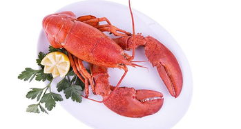 多國海鮮產品關稅迎調整或全免，全球貿易格局或將重塑